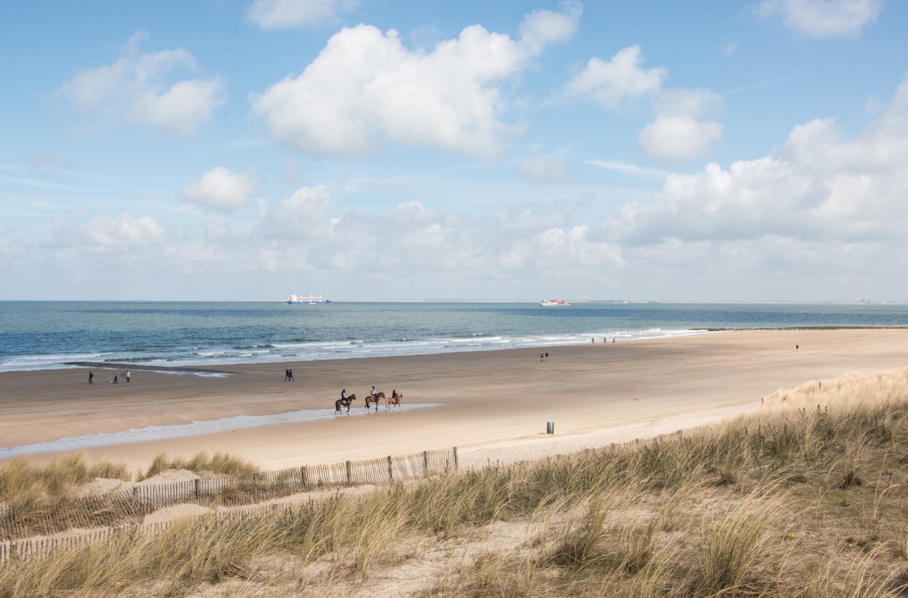 What to do in Comporta? Experiences and activities with family